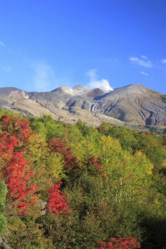 无人,竖图,室外,白天,正面,旅游,度假,石头,美景,秋季,山,山脉,树林,植物,北海道,日本,亚洲,阴影,光线,石子,影子,景观,山顶,山峰,云,云朵,山峦,云彩,娱乐,树,树木,黄色,红色,蓝色,绿色,白云,蓝天,天空,阳光,自然,群山,天,享受,休闲,景色,放松,生长,晴朗,成长,自然风光,东亚,沉积岩,日本国,北海道地方,北海道岛,道北,颠峰,极峰,水成岩,石块,岩石,晴空,秋,秋天,彩图,上川支厅