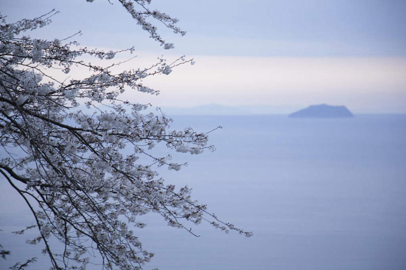 无人,横图,俯视,室外,白天,旅游,度假,幸福,纯洁,海浪,海洋,石头,美景,山,山脉,樱花,大分县,日本,亚洲,阴影,光线,石子,影子,景观,浪花,山顶,山峰,云,云朵,山峦,云彩,娱乐,蓝色,白云,蓝天,天空,阳光,自然,海水,群山,天,享受,休闲,景色,放松,晴朗,等待,生命,自然风光,海景,东亚,沉积岩,日本国,九州本岛,九州,九州岛,九州地方,仙樱花,福岛樱,青肤樱,高尚,大分,热烈,颠峰,极峰,水成岩,大海,风浪,海,海水的波动,近岸浪,石块,岩石,涌浪,晴空,荆桃,彩图,高角度拍摄