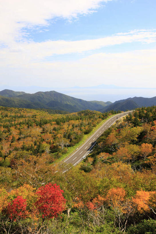 无人,竖图,俯视,室外,白天,旅游,度假,石头,美景,秋季,山,山脉,树林,植物,道路,路,公路,北海道,日本,亚洲,许多,阴影,光线,石子,影子,景观,山顶,山峰,云,云朵,交通,山峦,云彩,娱乐,树,树木,树枝,黄色,红色,蓝色,绿色,白云,蓝天,天空,阳光,自然,群山,天,享受,休闲,景色,放松,生长,晴朗,成长,自然风光,东亚,沉积岩,日本国,北海道地方,北海道岛,颠峰,极峰,水成岩,石块,岩石,晴空,秋,秋天,马路,彩图,高角度拍摄