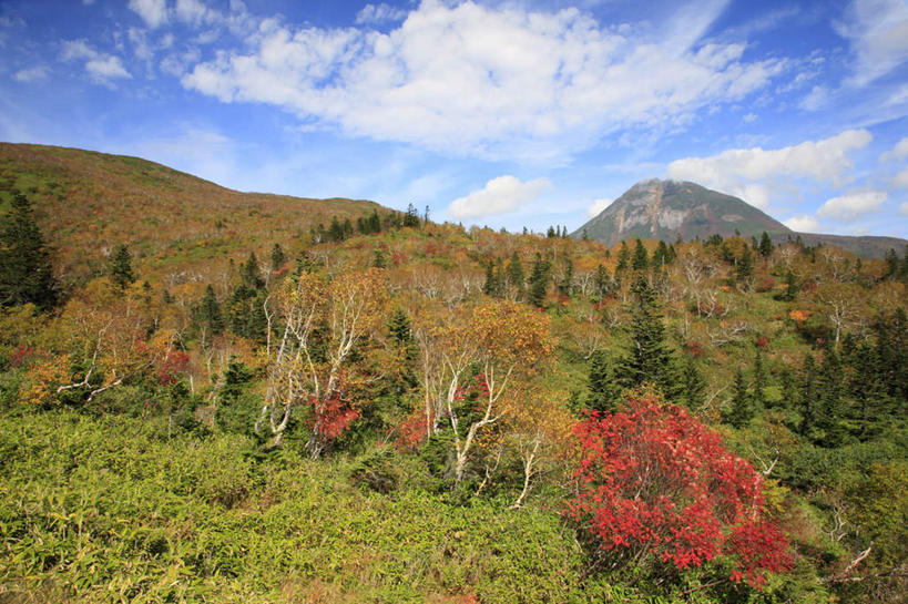 无人,横图,俯视,室外,白天,旅游,度假,石头,美景,秋季,山,山脉,树林,植物,北海道,日本,亚洲,许多,阴影,光线,石子,影子,景观,山顶,山峰,云,云朵,山峦,云彩,娱乐,树,树木,树枝,黄色,红色,蓝色,绿色,白云,蓝天,天空,阳光,自然,群山,天,享受,休闲,景色,放松,生长,晴朗,成长,自然风光,东亚,沉积岩,日本国,北海道地方,北海道岛,颠峰,极峰,水成岩,石块,岩石,晴空,秋,秋天,彩图,高角度拍摄