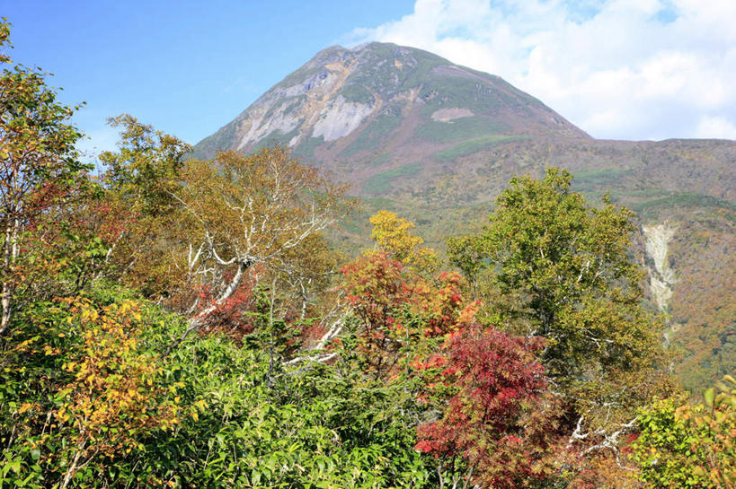 无人,横图,俯视,室外,白天,旅游,度假,石头,美景,秋季,山,山脉,树林,植物,北海道,日本,亚洲,许多,阴影,光线,石子,影子,景观,山顶,山峰,云,云朵,山峦,云彩,娱乐,树,树木,树枝,黄色,红色,蓝色,绿色,白云,蓝天,天空,阳光,自然,群山,天,享受,休闲,景色,放松,生长,晴朗,成长,自然风光,东亚,沉积岩,日本国,北海道地方,北海道岛,颠峰,极峰,水成岩,石块,岩石,晴空,秋,秋天,彩图,高角度拍摄