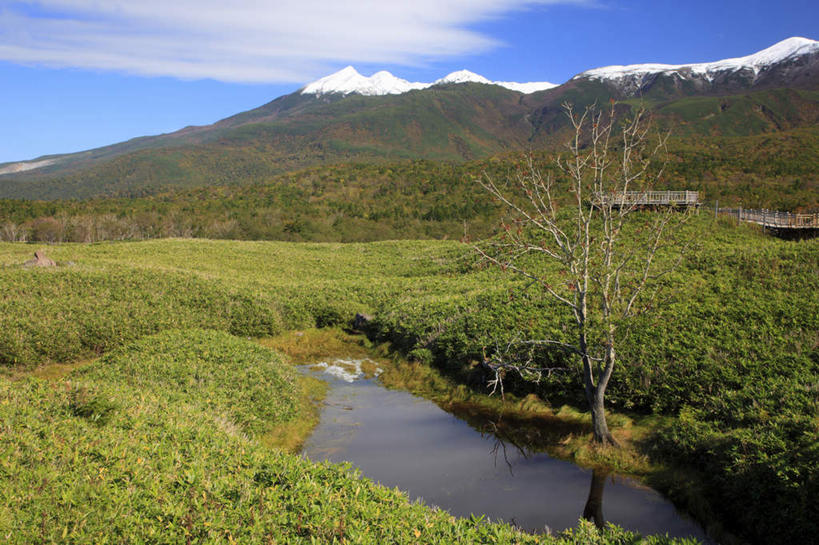 无人,横图,室外,白天,正面,旅游,度假,草地,草坪,湖,湖泊,石头,美景,山,山脉,树林,水,雪山,植物,北海道,日本,亚洲,一棵,阴影,光线,石子,影子,湖面,景观,山顶,山峰,水流,水面,云,云朵,枯树,山峦,云彩,娱乐,草,树,树木,蓝色,绿色,白云,蓝天,天空,阳光,自然,湖水,群山,天,享受,休闲,景色,放松,生长,晴朗,成长,自然风光,东亚,沉积岩,日本国,北海道地方,北海道岛,颠峰,极峰,水成岩,石块,岩石,晴空,彩图