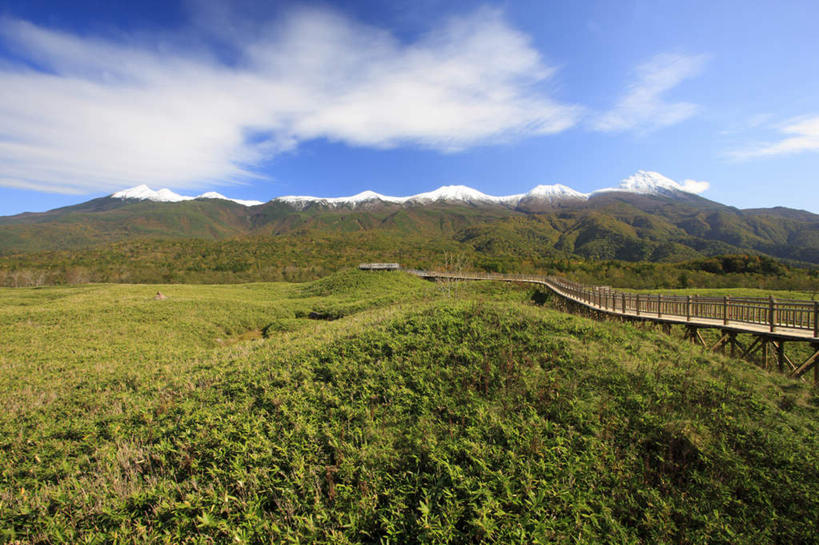 无人,横图,室外,白天,正面,旅游,度假,草地,草坪,湖,湖泊,石头,美景,山,山脉,树林,水,雪山,植物,北海道,日本,亚洲,阴影,光线,木板,石子,影子,湖面,景观,山顶,山峰,水流,水面,云,云朵,桥,木桥,山峦,云彩,娱乐,栈桥,草,树,树木,蓝色,绿色,白云,蓝天,天空,阳光,自然,湖水,群山,天,享受,休闲,景色,放松,生长,晴朗,成长,人行桥,木板桥,自然风光,东亚,沉积岩,日本国,北海道地方,北海道岛,颠峰,极峰,水成岩,石块,岩石,晴空,彩图