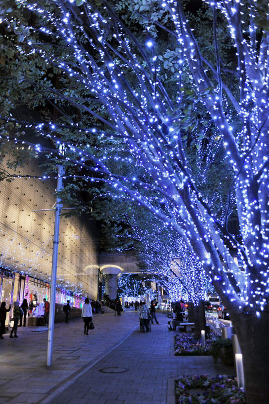 东方人,商店,竖图,室外,夜晚,仰视,购物,消费,植物,超市,路灯,人行横道,汽车,东京,日本,圣诞节,亚洲,两辆,许多,阴影,节日,庆祝,装饰,光线,影子,人行道,灯光,许多人,黄种人,文化,车,树,树木,绿色,自然,交通工具,轿车,庆典,金融,百货,生长,成长,纪念,华丽,修饰,点缀,服装店,载具,人行横道线,选购,贸易,百货公司,东亚,服饰店,本州,关东地方,本州岛,日本国,东京都,衬托,美观,雅致,雅观,血拼,亚洲人,彩图,低角度拍摄,购物商场,购物中心,商业中心