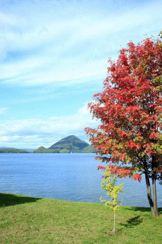 无人,竖图,室外,白天,正面,旅游,度假,草地,草坪,湖,湖泊,石头,美景,秋季,山,山脉,树林,水,植物,北海道,日本,亚洲,两棵,阴影,光线,石子,影子,湖面,景观,山顶,山峰,水流,水面,云,云朵,山谷,山峦,云彩,娱乐,草,树,树木,黄色,蓝色,绿色,白云,蓝天,天空,阳光,自然,湖水,群山,天,享受,休闲,景色,放松,生长,晴朗,成长,自然风光,东亚,沉积岩,日本国,北海道地方,北海道岛,颠峰,极峰,水成岩,石块,岩石,晴空,秋,秋天,彩图