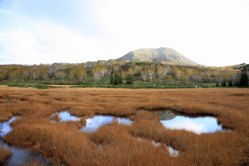 无人,横图,俯视,室外,白天,旅游,度假,草地,草坪,石头,美景,秋季,山,山脉,树林,植物,北海道,日本,亚洲,一排,阴影,整齐,光线,石子,影子,景观,山顶,山峰,云,云朵,山峦,云彩,娱乐,草,树,树木,排列,黄色,红色,蓝色,绿色,白云,蓝天,天空,阳光,自然,群山,天,享受,休闲,景色,放松,生长,晴朗,成长,沼泽,队列,自然风光,东亚,沉积岩,日本国,北海道地方,北海道岛,颠峰,极峰,水成岩,石块,岩石,晴空,秋,秋天,彩图,高角度拍摄