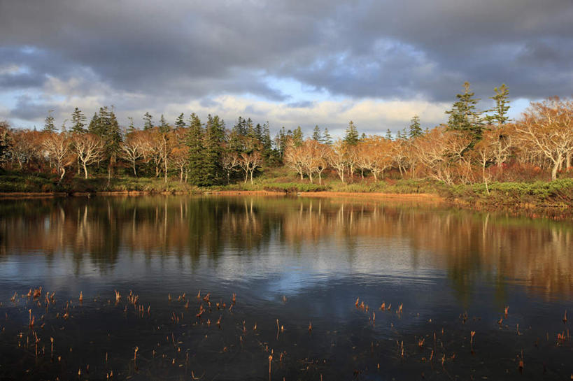 无人,横图,俯视,室外,白天,旅游,度假,草地,草坪,湖,湖泊,美景,秋季,树林,水,植物,北海道,日本,亚洲,一排,阴影,整齐,光线,影子,湖面,景观,水流,水面,云,云朵,云彩,娱乐,草,树,树木,排列,黄色,红色,蓝色,绿色,白云,蓝天,天空,阳光,自然,湖水,天,享受,休闲,景色,放松,生长,晴朗,成长,队列,自然风光,东亚,日本国,北海道地方,北海道岛,晴空,秋,秋天,彩图,高角度拍摄