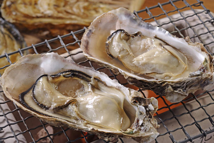 海鲜,无人,横图,俯视,室内,特写,白天,烹饪,烧烤,热情,火,阴影,朦胧,模糊,反射,火焰,影子,日本料理,料理,食品,烤架,牡蛎,烤肉,燃烧,水产,菜肴,美食,海洋生物,食物,两个,日式料理,日式,铁架,佳肴,生蚝,水生动物,海产品,水生物,海底动物,彩图,高角度拍摄