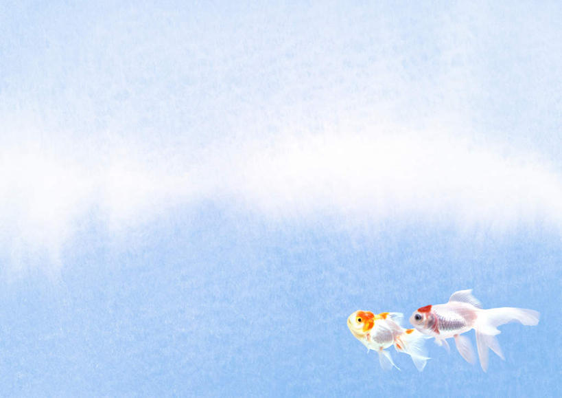 无人,横图,插画,室内,白天,正面,数码,科技,两条,阴影,网络,金鱼,鱼,高光,几何,计算机图形,合成,图画,鱼类,画,蓝色,白色,动物,可爱,电脑合成图,数码合成图,漫画,写实,具体,具象,观赏鱼,金鲫鱼,彩图