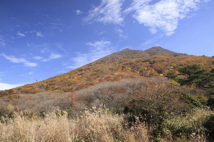 无人,横图,室外,白天,仰视,旅游,度假,石头,美景,秋季,山,山脉,树林,植物,道路,路,大分县,日本,亚洲,阴影,光线,石子,影子,景观,山顶,山峰,云,云朵,山峦,云彩,娱乐,树,树木,黄色,红色,蓝色,绿色,白云,蓝天,天空,阳光,自然,群山,天,享受,休闲,景色,放松,生长,晴朗,成长,自然风光,东亚,沉积岩,日本国,九州本岛,九州,九州岛,九州地方,大分,颠峰,极峰,水成岩,石块,岩石,晴空,秋,秋天,彩图,低角度拍摄
