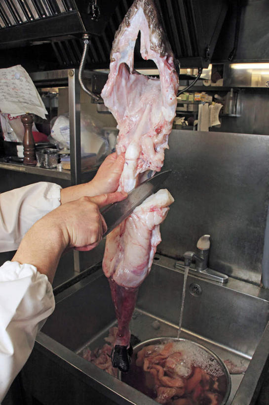 东方人,手,一个人,厨师,竖图,室内,特写,白天,正面,烹饪,水,厨房,厨具,金属制品,亚洲,仅一个男性,仅一个人,许多,切开,握,阴影,反射,血,金属,工具,盆子,水槽,水龙头,液体,影子,塑料,水滴,肉,鱼肉,料理,食品,刀具,拿,调味料,拿着,黄种人,干净,菜肴,美食,肉类,食物,仅一个年轻男性,一个,红色,塑料制品,碗,刀,切,日式,手部,握着,佳肴,单个,鱼钩,卫生,菜刀,剖面,肉食,切面,安康鱼,蛤蟆鱼,老头鱼,结巴鱼,丑婆,切菜刀,鮟鱇,鮟鱇鱼,哈蟆鱼,海哈蟆,琵琶鱼,男人,男性,年轻男性,亚洲人,厨师长,厨子,大厨,主厨,洗涤用具,洗涤,半身,彩图,灶间