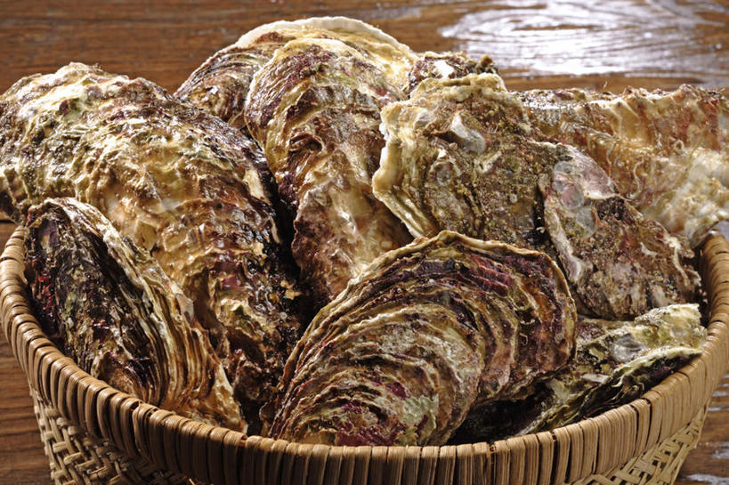 海鲜,无人,交叉,横图,俯视,室内,特写,白天,烹饪,餐桌,竹子,许多,阴影,竹制,编织,反射,篮子,影子,料理,食品,牡蛎,水产,菜肴,美食,海洋生物,食物,一个,竹篮,日式,佳肴,单个,餐台,竹条,生蚝,交织,竹制品,水生动物,海产品,水生物,海底动物,穿插,彩图,高角度拍摄