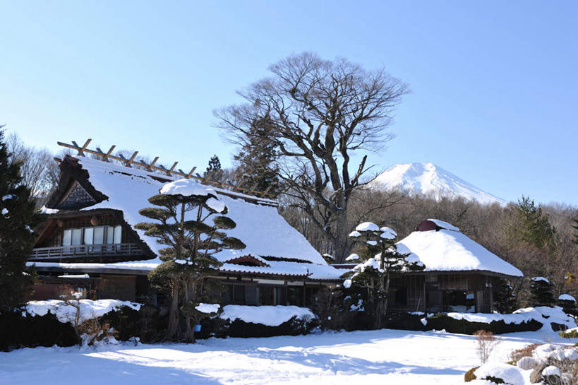 无人,家,横图,室外,白天,正面,旅游,度假,火山,石头,美景,山,山脉,树林,雪,植物,大雪,松树,富士山,静冈县,日本,亚洲,阴影,光线,石子,影子,房屋,屋子,积雪,景观,山顶,山峰,雪景,冬季,冬天,山峦,娱乐,楼房,住宅,树,树木,蓝色,绿色,蓝天,天空,阳光,自然,群山,天,享受,休闲,景色,放松,寒冷,生长,晴朗,成长,自然风光,坚定,东亚,沉积岩,两座,本州,万里无云,本州岛,日本国,中部地方,静冈,山梨,山梨县,长寿,严寒,贞洁,颠峰,极峰,水成岩,活火山,石块,死火山,休眠火山,岩石,晴空,晴空万里,彩图,房子