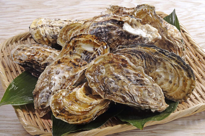 海鲜,无人,交叉,横图,俯视,室内,特写,白天,烹饪,餐桌,竹子,叶子,一堆,许多,阴影,堆叠,堆积,竹制,装饰,编织,反射,篮子,影子,粽叶,料理,食品,绿叶,牡蛎,水产,菜肴,美食,海洋生物,食物,一个,竹篮,日式,嫩叶,佳肴,单个,餐台,竹条,堆,华丽,修饰,生蚝,交织,点缀,竹制品,水生动物,海产品,水生物,海底动物,箬叶,芦苇叶,衬托,美观,雅致,雅观,穿插,叶,叶片,彩图,高角度拍摄