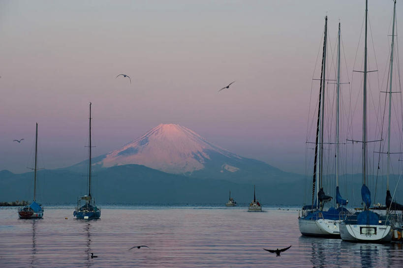 无人,码头,横图,室外,白天,正面,旅游,度假,日出,岛屿,海浪,海洋,火山,石头,美景,山,山脉,太阳,港口,轮船,船,鸟,富士山,静冈县,日本,亚洲,阴影,光线,鸟类,石子,影子,景观,浪花,山顶,山峰,朝霞,晨曦,黎明,山峦,娱乐,一只,阳光,自然,海水,交通工具,群山,享受,休闲,景色,放松,自然风光,载具,海景,东亚,沉积岩,本州,本州岛,日本国,中部地方,静冈,山梨,山梨县,颠峰,极峰,水成岩,大海,风浪,海,海水的波动,活火山,近岸浪,列岛,群岛,石块,死火山,休眠火山,岩石,涌浪,诸岛,朝阳,彩图,破晓,摆渡口,埠头,渡口,渡头,港湾,海港,货运码头,口岸,商港