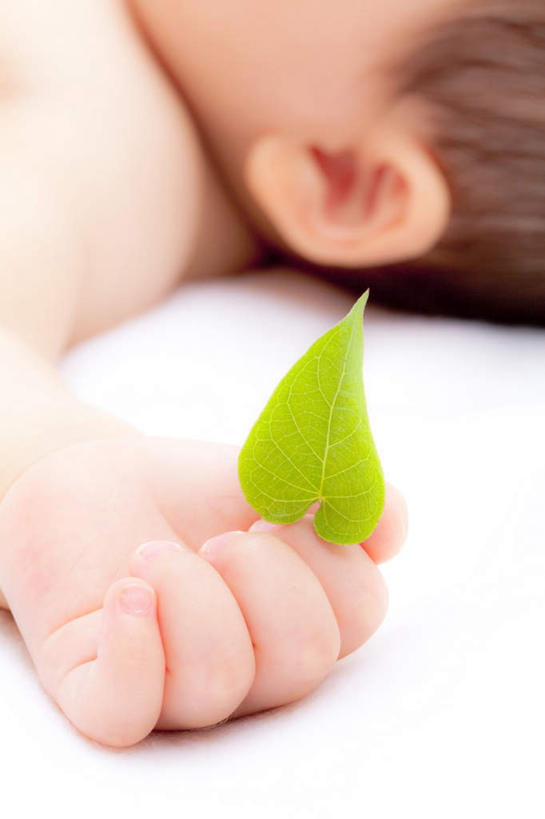东方人,婴儿,儿童,一个人,躺,竖图,俯视,室内,特写,白天,白色背景,纯洁,叶子,亚洲,仅一个人,一片,握,绿叶,拿,拿着,黄种人,小孩,嫩叶,可爱,握着,摄影,活泼,影棚,生机,希望,宝宝,纯真,烂漫,无邪,卧着,伶俐,天真,亚洲人,孩子,叶,叶片,躺着,卧,半身,彩图,高角度拍摄,影棚拍摄,拍摄