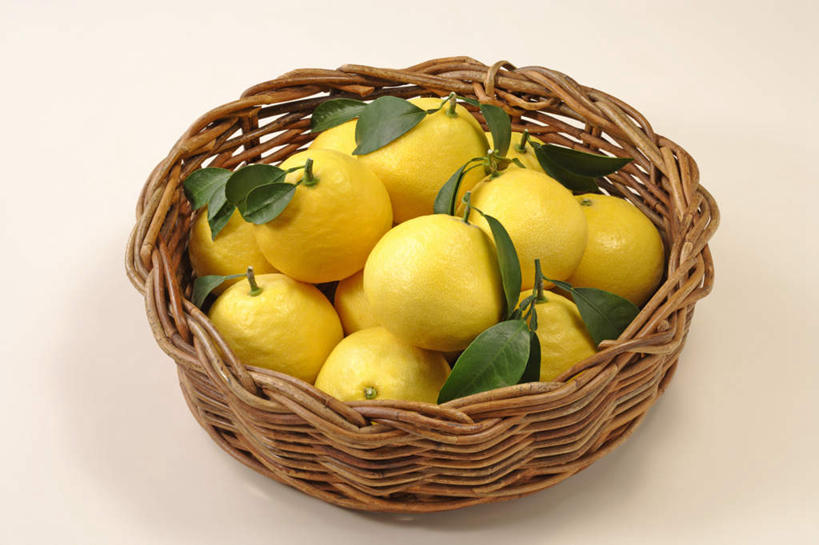 无人,交叉,横图,俯视,室内,特写,白天,白色背景,竹子,柑橘,水果,叶子,许多,阴影,竹制,新鲜,编织,反射,篮子,影子,生食,食品,果实,绿叶,食物,一个,黄色,竹篮,嫩叶,摄影,有机食品,绿色食品,影棚,单个,竹条,交织,竹制品,穿插,叶,叶片,橘子,桔子,橙子,橙,彩图,高角度拍摄,影棚拍摄,拍摄