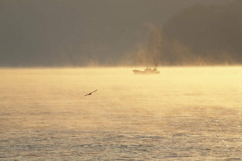 无人,横图,俯视,室外,白天,海浪,海洋,石头,日落,山,山脉,树林,植物,轮船,船,鸟,大分县,日本,亚洲,一艘,阴影,光线,鸟类,石子,影子,浪花,山顶,山峰,水平线,晚霞,霞光,辽阔,海平线,山峦,树,树木,绿色,阳光,自然,海水,黄昏,交通工具,群山,广阔,彩霞,生长,成长,一望无际,载具,海景,东亚,沉积岩,日本国,九州本岛,九州,九州岛,九州地方,大分,无边无际,一马平川,颠峰,极峰,水成岩,大海,风浪,海,海水的波动,近岸浪,石块,岩石,涌浪,夕阳,彩图,高角度拍摄,水天相接,水天一线