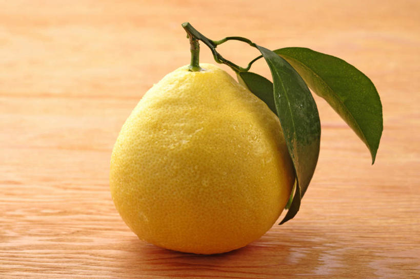 无人,横图,俯视,室内,特写,白天,餐桌,桌子,柑橘,水果,叶子,阴影,新鲜,反射,影子,生食,食品,果实,绿叶,三片,食物,黄色,嫩叶,摄影,有机食品,绿色食品,影棚,单个,餐台,叶,叶片,橘子,桔子,橙子,橙,彩图,高角度拍摄,影棚拍摄,拍摄