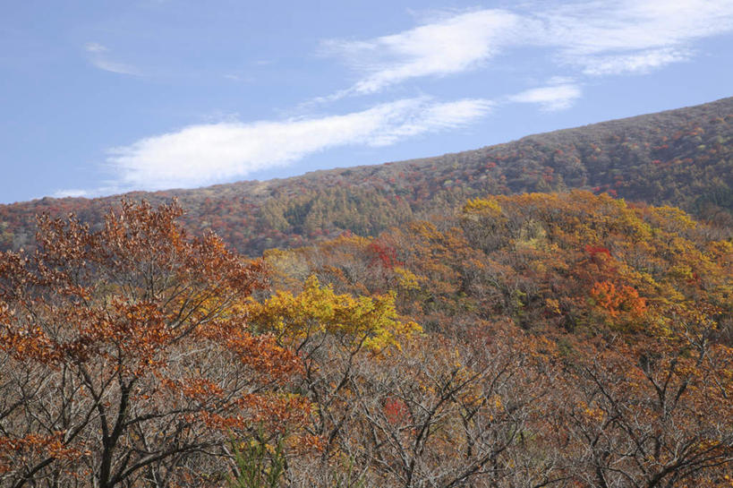 无人,横图,俯视,室外,白天,旅游,度假,石头,美景,秋季,山,山脉,树林,植物,大分县,日本,亚洲,阴影,光线,石子,影子,景观,山顶,山峰,云,云朵,山峦,云彩,娱乐,树,树木,黄色,红色,蓝色,绿色,白云,蓝天,天空,阳光,自然,群山,天,享受,休闲,景色,放松,生长,晴朗,成长,自然风光,东亚,沉积岩,日本国,九州本岛,九州,九州岛,九州地方,大分,颠峰,极峰,水成岩,石块,岩石,晴空,秋,秋天,彩图,高角度拍摄