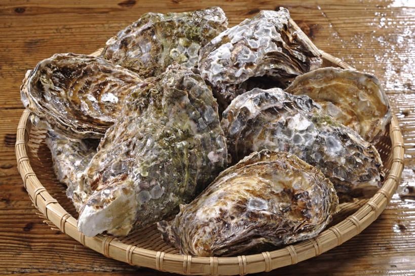 海鲜,无人,交叉,横图,俯视,室内,特写,白天,烹饪,餐桌,桌子,竹子,许多,阴影,竹制,编织,反射,篮子,影子,日本料理,料理,食品,牡蛎,水产,菜肴,美食,海洋生物,食物,一个,竹篮,日式料理,日式,佳肴,单个,餐台,竹条,生蚝,交织,竹制品,水生动物,海产品,水生物,海底动物,穿插,彩图,高角度拍摄