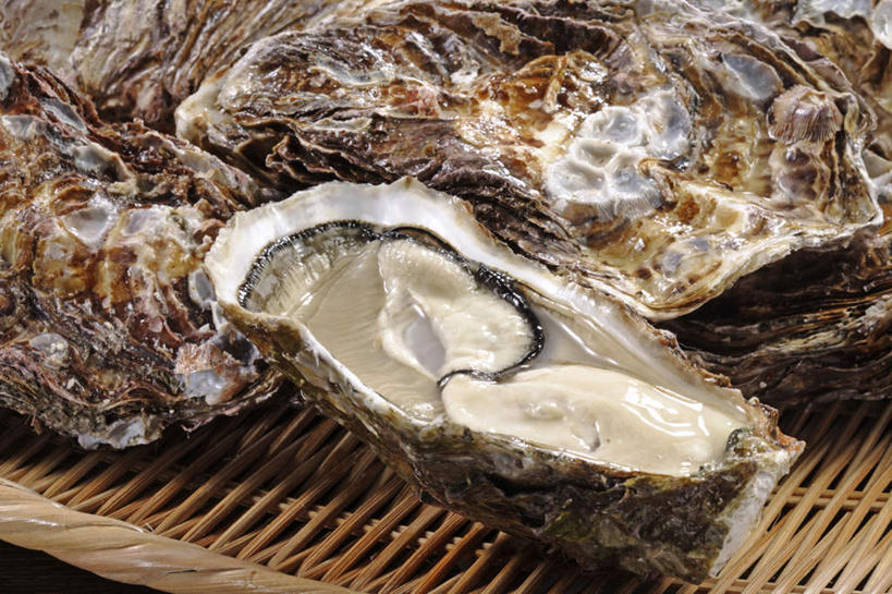 海鲜,无人,交叉,横图,俯视,室内,特写,白天,烹饪,餐桌,桌子,竹子,一堆,许多,阴影,堆叠,堆积,竹制,编织,反射,篮子,影子,日本料理,料理,食品,牡蛎,水产,菜肴,美食,海洋生物,食物,一个,竹篮,日式料理,日式,佳肴,单个,餐台,竹条,堆,生蚝,交织,竹制品,水生动物,海产品,水生物,海底动物,穿插,彩图,高角度拍摄