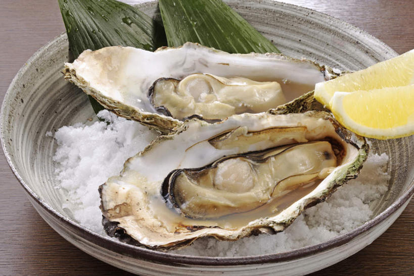 海鲜,米饭,无人,横图,俯视,室内,特写,白天,烹饪,餐桌,桌子,龟,柠檬,餐具,叶子,阴影,装饰,反射,爬行动物,碟子,盘,影子,竹叶,陶瓷,日本料理,料理,食品,绿叶,陶瓷制品,牡蛎,饭,水产,菜肴,美食,海洋生物,食物,两个,动物,盘子,碟,日式料理,健康,日式,嫩叶,佳肴,餐台,华丽,修饰,生蚝,点缀,五谷,水生动物,坚定,海产品,水生物,水龟,海底动物,衬托,美观,雅致,雅观,长寿,叶,叶片,益母果,柠果,彩图,高角度拍摄