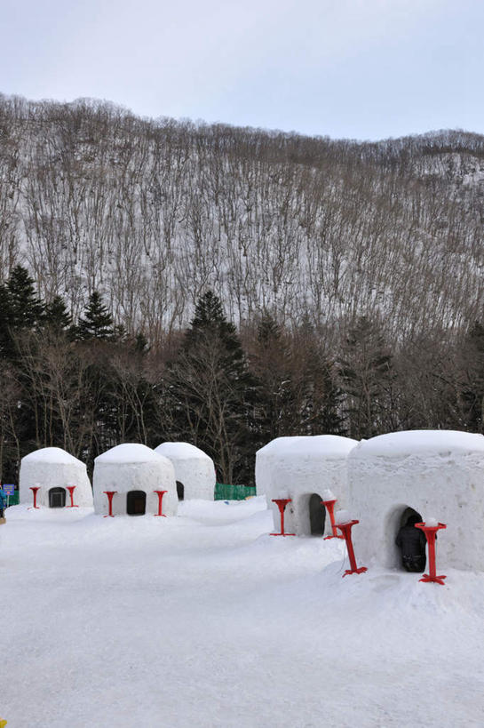 东方人,一个人,家,栏杆,站,竖图,室外,白天,正面,旅游,度假,石头,美景,山,山脉,树林,雪,植物,大雪,神奈川,日本,亚洲,仅一个女性,仅一个人,许多,阴影,服装,光线,石子,影子,栅栏,房屋,屋子,积雪,景观,篱笆,山顶,山峰,雪景,云,云朵,冬季,冬天,围栏,山峦,神奈川县,云彩,黄种人,娱乐,护栏,楼房,灯柱,住宅,树,树木,衣服,红色,蓝色,绿色,白云,蓝天,天空,阳光,自然,群山,天,站着,仅一个中年女性,享受,休闲,温暖,景色,放松,寒冷,服饰,生长,晴朗,成长,羽绒服,保暖,御寒,自然风光,东亚,沉积岩,镰仓,本州,关东地方,本州岛,日本国,严寒,雪屋,颠峰,极峰,水成岩,冬装,女人,女性,中年女性,亚洲人,石块,岩石,晴空,站立,彩图,房子