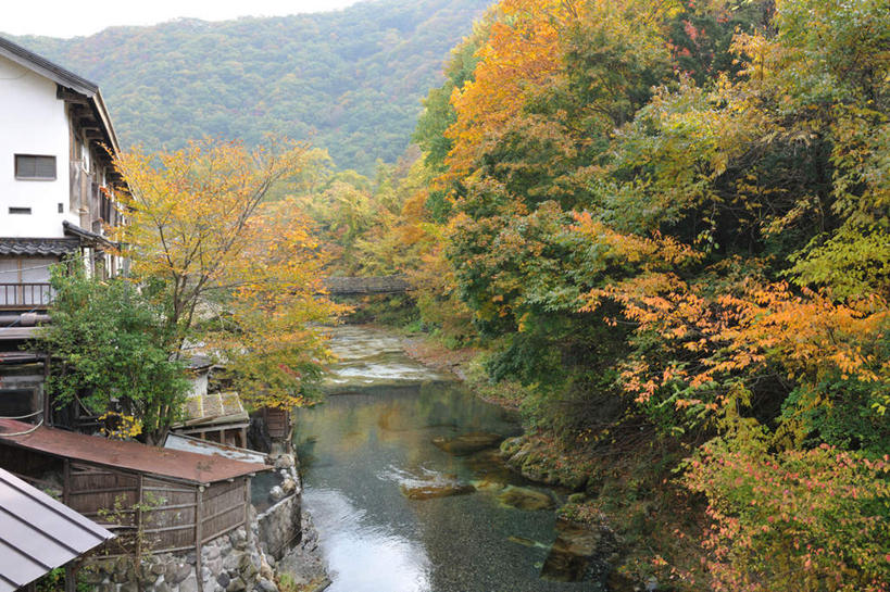 无人,家,横图,室外,白天,正面,旅游,度假,河流,石头,美景,秋季,山,山脉,树林,水,温泉,植物,日本,亚洲,许多,阴影,光线,木板,石子,影子,房屋,屋子,河水,景观,山顶,山峰,水流,公寓,桥,木桥,山峦,娱乐,洋房,楼房,住宅,栈桥,树,树木,黄色,红色,绿色,阳光,自然,群山,享受,休闲,景色,放松,生长,成长,人行桥,木板桥,自然风光,东亚,沉积岩,本州,关东地方,本州岛,日本国,栃木,栃木县,颠峰,极峰,水成岩,石块,岩石,秋,秋天,彩图,房子