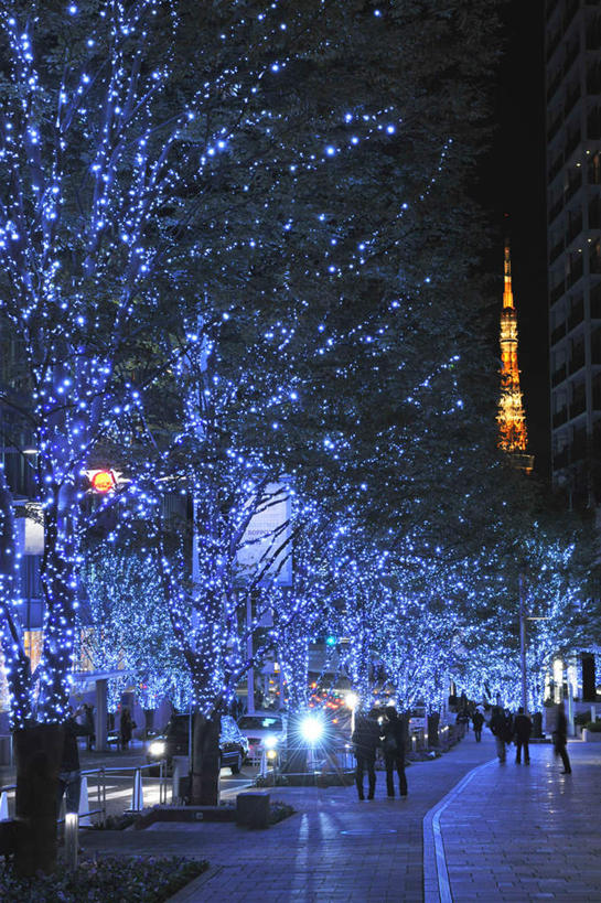 东方人,家,商店,走,竖图,室外,夜晚,仰视,购物,消费,植物,步行街,超市,道路,卡车,路,夜景,公路,汽车,东京,日本,圣诞节,亚洲,一座,许多,阴影,节日,庆祝,装饰,光线,影子,房屋,屋子,灯光,灯塔,交通,许多人,黄种人,文化,楼房,住宅,车,树,树木,绿色,黑色,天空,自然,交通工具,天,一群人,庆典,金融,百货,生长,成长,纪念,华丽,修饰,点缀,服装店,载具,选购,贸易,百货公司,东亚,服饰店,本州,关东地方,本州岛,日本国,东京都,衬托,美观,雅致,雅观,血拼,县厅,港区,东京市,老年男性,老年女性,男人,男性,女人,女性,亚洲人,马路,步行,散步,走路,彩图,低角度拍摄,全身,房子,购物商场,购物中心,商业中心