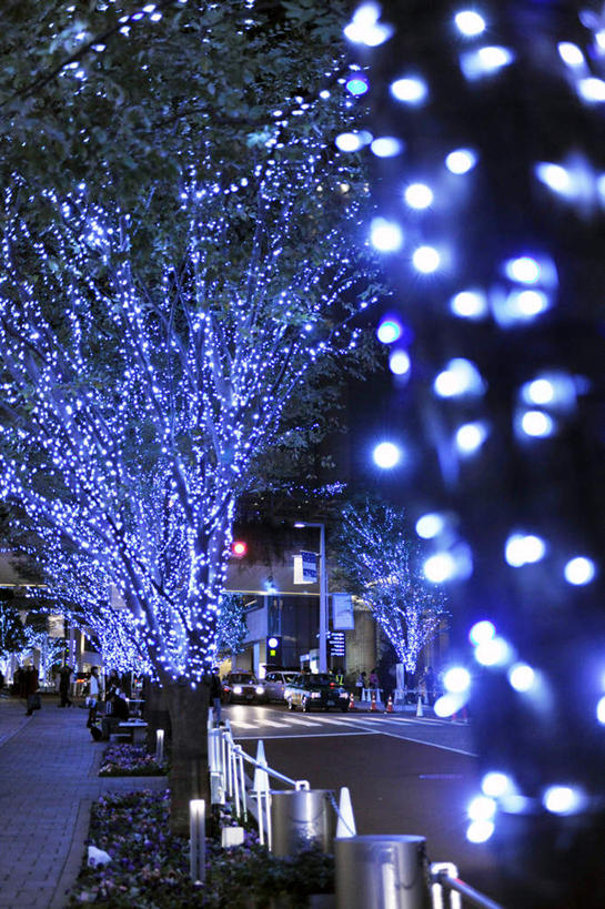 东方人,家,商店,栏杆,走,竖图,室外,夜晚,正面,购物,安全,消费,植物,步行街,超市,道路,卡车,路,夜景,公路,汽车,东京,日本,圣诞节,亚洲,许多,阴影,节日,庆祝,装饰,光线,影子,栅栏,房屋,屋子,篱笆,红绿灯,围栏,灯光,信号灯,交通,许多人,路障,黄种人,文化,护栏,楼房,住宅,车,树,树木,三个,一个,红色,绿色,黑色,天空,自然,交通工具,天,一群人,庆典,警示,金融,百货,生长,单个,成长,纪念,华丽,修饰,点缀,服装店,提示,载具,流通,选购,贸易,百货公司,东亚,服饰店,交通信号灯,本州,行人信号灯,关东地方,本州岛,日本国,东京都,衬托,美观,雅致,雅观,血拼,县厅,港区,东京市,老年男性,老年女性,男人,男性,女人,女性,亚洲人,马路,步行,散步,走路,彩图,全身,房子,购物商场,购物中心,商业中心