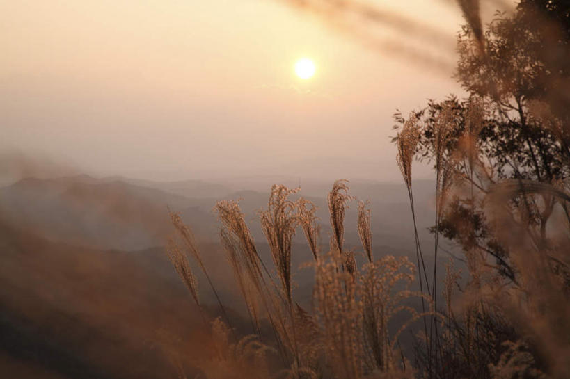 无人,横图,室外,白天,正面,旅游,度假,石头,美景,日落,山,山脉,树林,太阳,植物,大分县,日本,亚洲,阴影,光线,石子,影子,景观,山顶,山峰,晚霞,霞光,山峦,娱乐,树,树木,绿色,阳光,自然,黄昏,群山,享受,休闲,景色,彩霞,放松,生长,成长,自然风光,东亚,沉积岩,日本国,九州本岛,九州,九州岛,九州地方,大分,颠峰,极峰,水成岩,石块,岩石,夕阳,彩图