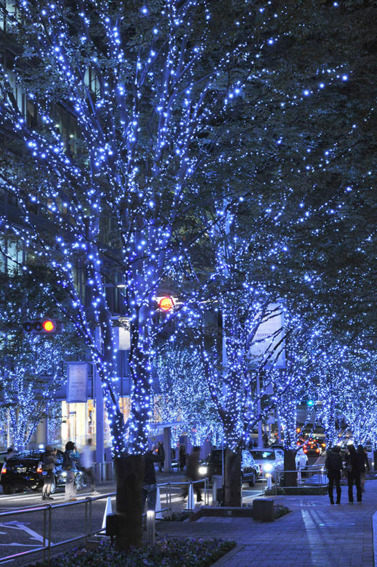 东方人,家,商店,走,竖图,室外,夜晚,仰视,购物,消费,植物,步行街,超市,道路,卡车,路,公路,汽车,东京,日本,圣诞节,亚洲,许多,阴影,节日,庆祝,装饰,光线,影子,房屋,屋子,灯光,交通,许多人,黄种人,文化,楼房,住宅,车,树,树木,绿色,黑色,蓝天,天空,自然,交通工具,天,庆典,金融,百货,生长,成长,纪念,华丽,修饰,点缀,服装店,载具,选购,贸易,百货公司,东亚,服饰店,本州,关东地方,本州岛,日本国,东京都,四辆,衬托,美观,雅致,雅观,血拼,亚洲人,马路,步行,散步,走路,彩图,低角度拍摄,全身,房子,购物商场,购物中心,商业中心