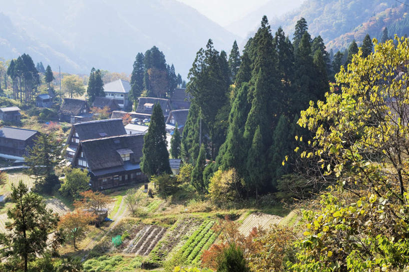 无人,家,横图,俯视,室外,白天,旅游,度假,草地,草坪,美景,秋季,山,山脉,植物,别墅,城市风光,城市,建筑,叶子,富山县,日本,亚洲,阴影,光线,影子,房屋,屋子,景观,山峰,公寓,建筑群,枯叶,落叶,山峦,娱乐,建设,洋房,楼房,住宅,草,树,树木,蓝色,绿色,蓝天,天空,阳光,自然,群山,天,享受,休闲,景色,放松,生长,晴朗,成长,东亚,本州,万里无云,本州岛,日本国,中部地方,富山,叶,叶片,晴空,晴空万里,秋,秋天,彩图,高角度拍摄,房子