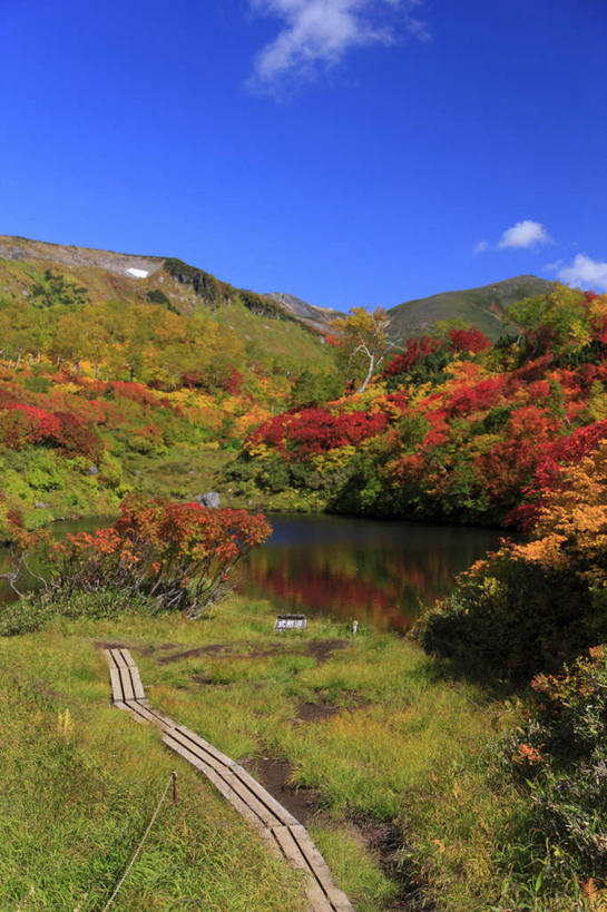 无人,竖图,俯视,室外,白天,旅游,度假,湖,湖泊,美景,山,山脉,水,道路,路,叶子,北海道,日本,亚洲,朦胧,模糊,湖面,景观,山峰,水流,水面,云,云朵,小路,枫叶,枯叶,落叶,交通,山峦,云彩,娱乐,黄色,红色,蓝色,白云,蓝天,天空,自然,湖水,群山,天,享受,休闲,景色,放松,乡间小路,晴朗,枫树叶,自然风光,东亚,日本国,北海道地方,北海道岛,道北,叶,叶片,晴空,彩图,高角度拍摄,上川支厅