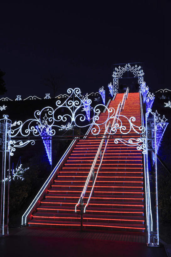无人,栏杆,竖图,彩色,室外,夜晚,仰视,旅游,度假,美景,楼梯,城市风光,城市,霓虹灯,日本,圣诞节,亚洲,节日,庆祝,扶手,阶梯,景观,灯光,七彩,文化,娱乐,光源,护栏,霓虹,台阶,灯,红色,紫色,庆典,享受,休闲,景色,放松,纪念,照明设备,东亚,日本国,氖灯,彩图,低角度拍摄