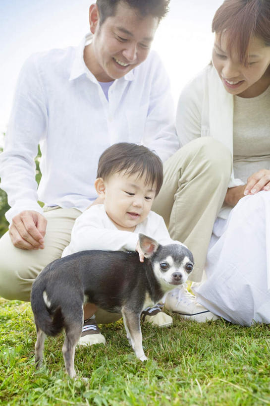 东方人,儿童,三个人,家庭,夫妻,母亲,父亲,儿子,坐,蹲,笑,摸,微笑,露齿笑,竖图,室外,白天,正面,爱情,纯洁,草地,草坪,太阳,植物,宠物,狗,亚洲,抚摸,阴影,服装,朦胧,模糊,光线,影子,吉娃娃,浪漫,注视,休闲装,黄种人,草,小孩,衣服,蓝色,绿色,蓝天,天空,阳光,动物,天,低头,观察,看,休闲,温暖,温馨,父子,母子,三口之家,一家人,休闲服,恩爱,父爱,可爱,母爱,童年,童趣,恋人,服饰,晴朗,观看,和睦,察看,关注,童真,烂漫,无邪,忠诚,芝娃娃,奇娃娃,万里无云,吉娃娃犬,齐花花,天真,男孩,男人,男性,年轻男性,年轻女性,女人,女性,亚洲人,孩子,年轻人,夫妇,情侣,晴空,晴空万里,犬,触摸,蹲着,接触,坐着,半身,彩图,伴侣,融洽,男生
