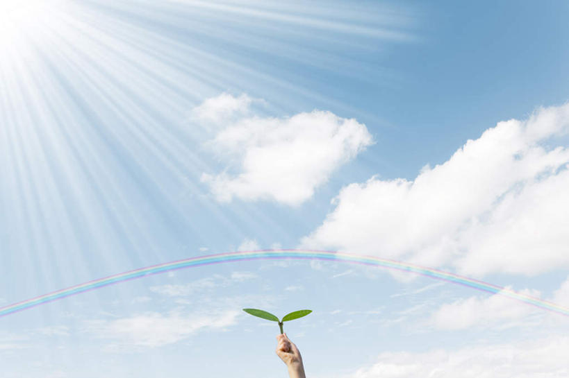 东方人,手,一个人,站,举,横图,室外,白天,仰视,彩虹,太阳,植物,亚洲,仅一个年轻女性,仅一个女性,仅一个人,阴影,梦幻,发光,光束,光线,影子,云,云朵,光亮,光芒,放射,云彩,黄种人,幼苗,蓝色,绿色,白云,蓝天,天空,阳光,自然,天,树苗,托,站着,手部,生长,晴朗,成长,生机,希望,单手,未来,发亮,憧憬,年轻女性,女人,女性,亚洲人,虹,虹桥,七彩虹,晴空,天虹,举起,举手,举着,向上举,向上伸,向上托,站立,半身,彩图,低角度拍摄