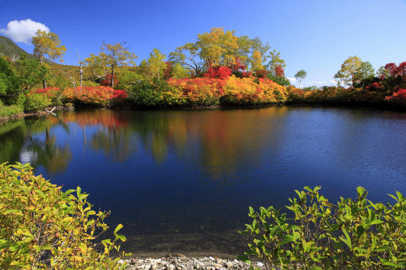 无人,横图,室外,白天,正面,旅游,度假,湖,湖泊,美景,山,山脉,树林,水,植物,叶子,北海道,日本,亚洲,一排,朦胧,模糊,整齐,湖面,景观,山峰,水流,水面,绿叶,山峦,娱乐,树,树木,排列,黄色,红色,蓝色,绿色,倒影,蓝天,天空,自然,湖水,群山,天,享受,休闲,嫩叶,景色,放松,生长,晴朗,成长,队列,自然风光,东亚,万里无云,日本国,北海道地方,北海道岛,道北,叶,叶片,晴空,晴空万里,彩图,上川支厅