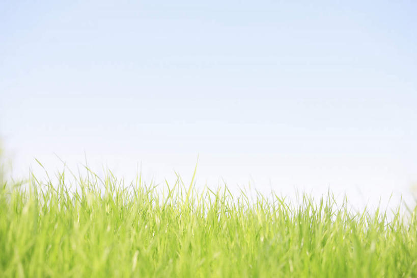 无人,横图,室外,白天,正面,旅游,度假,草地,草坪,美景,植物,日本,亚洲,阴影,光线,影子,景观,云,云朵,云彩,娱乐,草,蓝色,绿色,白云,蓝天,天空,阳光,自然,天,享受,休闲,景色,放松,晴朗,自然风光,东亚,日本国,晴空,彩图