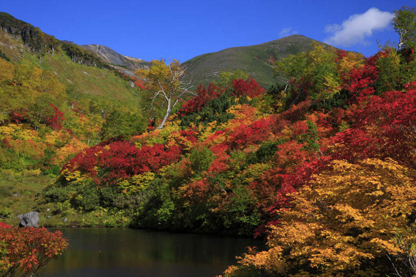 无人,横图,室外,白天,仰视,旅游,度假,湖,湖泊,美景,山,山脉,树林,水,植物,叶子,北海道,日本,亚洲,一排,整齐,湖面,景观,山峰,水流,水面,绿叶,山峦,娱乐,树,树木,排列,黄色,红色,蓝色,绿色,倒影,蓝天,天空,自然,湖水,群山,天,享受,休闲,嫩叶,景色,放松,生长,晴朗,成长,高耸入云,队列,自然风光,东亚,万里无云,日本国,北海道地方,北海道岛,道北,叶,叶片,晴空,晴空万里,彩图,低角度拍摄,上川支厅