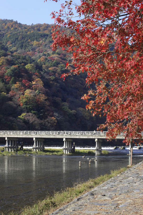 无人,竖图,室外,白天,正面,旅游,度假,草地,草坪,河流,山,山脉,水,植物,道路,路,公路,枫树,叶子,京都,日本,亚洲,阴影,光线,木板,影子,河水,山峰,水流,桥,绿叶,木桥,交通,山峦,娱乐,栈桥,草,蓝色,绿色,倒影,蓝天,天空,小溪,阳光,自然,群山,天,溪水,享受,休闲,嫩叶,放松,京都府,人行桥,木板桥,自然风光,东亚,本州,本州岛,日本国,近畿地方,近畿,槭树,鸡爪槭,叶,叶片,马路,鸡爪枫,彩图