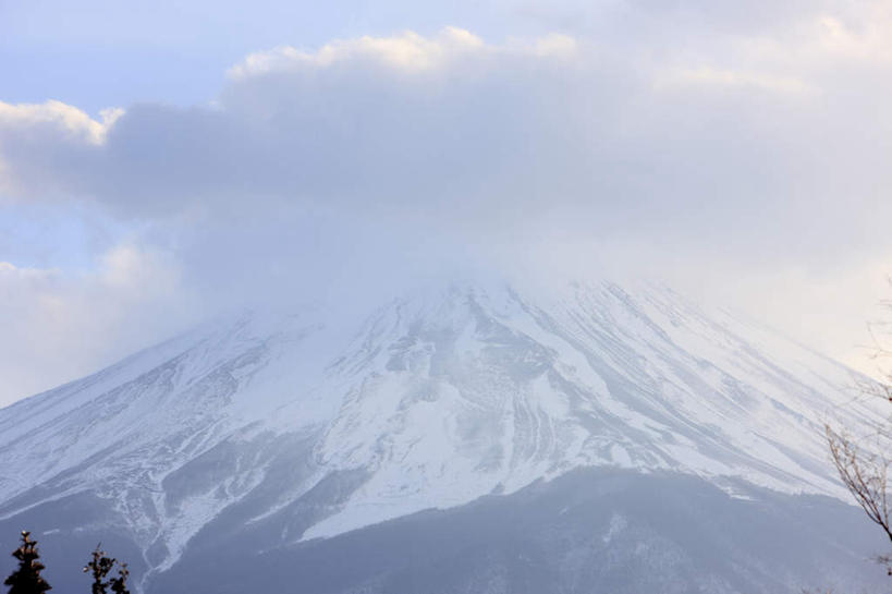 无人,横图,室外,特写,白天,仰视,旅游,度假,火山,美景,植物,富士山,静冈县,日本,亚洲,两棵,一座,阴影,朦胧,模糊,光线,影子,景观,云,云朵,云彩,娱乐,树,树干,树木,蓝色,绿色,白云,蓝天,天空,阳光,自然,天,享受,休闲,景色,放松,生长,成长,自然风光,东亚,本州,本州岛,日本国,中部地方,静冈,山梨,山梨县,活火山,死火山,休眠火山,彩图,低角度拍摄