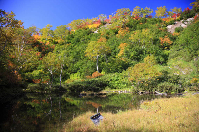 无人,横图,室外,白天,仰视,旅游,度假,湖,湖泊,美景,秋季,山,山脉,树林,水,植物,叶子,北海道,日本,亚洲,一排,整齐,湖面,景观,山峰,水流,水面,绿叶,山峦,娱乐,树,树木,排列,黄色,红色,蓝色,绿色,倒影,蓝天,天空,自然,湖水,群山,天,享受,休闲,嫩叶,景色,放松,生长,晴朗,成长,沼泽,队列,自然风光,东亚,万里无云,日本国,北海道地方,北海道岛,道北,叶,叶片,晴空,晴空万里,秋,秋天,彩图,低角度拍摄,上川支厅