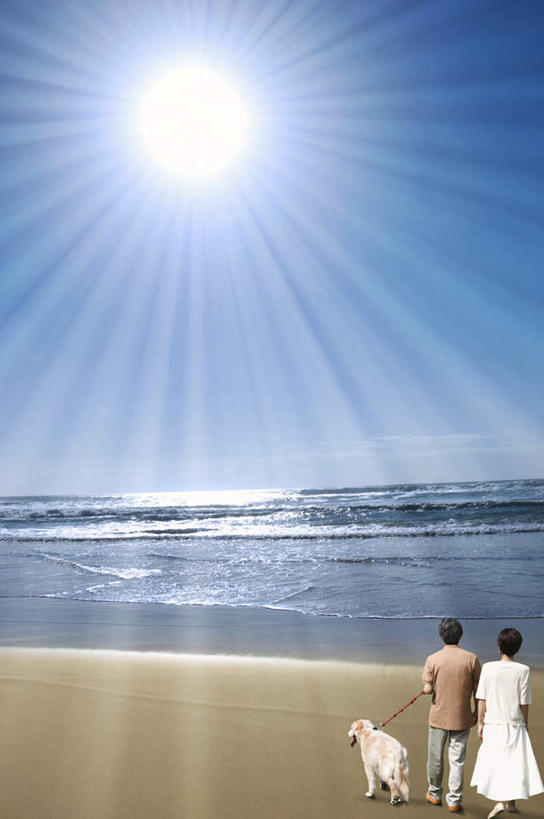 东方人,两个人,夫妻,走,竖图,室外,白天,仰视,爱情,海浪,海洋,沙滩,太阳,宠物,狗,亚洲,牵,阴影,服装,梦幻,发光,光束,光线,沙子,影子,海岸,浪花,光亮,沙地,浪漫,照射,放射,注视,休闲装,黄种人,一只,衣服,黄色,白色,阳光,海水,动物,观察,看,休闲,休闲服,恩爱,可爱,恋人,服饰,观看,牵着,耀眼,察看,未来,关注,发亮,海景,憧憬,忠诚,男人,男性,年轻男性,年轻女性,女人,女性,亚洲人,夫妇,情侣,大海,风浪,海,海水的波动,海滩,近岸浪,涌浪,犬,步行,散步,走路,彩图,低角度拍摄,全身,伴侣