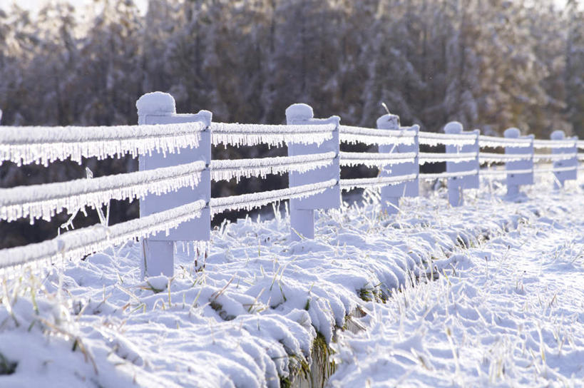 无人,栏杆,横图,室外,白天,正面,旅游,度假,美景,森林,树林,雪,植物,大雪,北海道,日本,亚洲,阴影,光线,影子,积雪,景观,雪景,冬季,冬天,围栏,娱乐,护栏,树,树木,绿色,阳光,自然,享受,休闲,景色,放松,寒冷,生长,成长,自然风光,东亚,日本国,北海道地方,北海道岛,美瑛町,严寒,美瑛,彩图