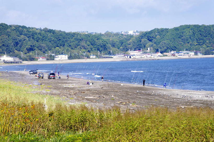 无人,横图,室外,白天,正面,旅游,度假,海浪,海洋,美景,森林,沙滩,树林,植物,日本,亚洲,沙子,海岸,景观,浪花,沙地,娱乐,树,树木,蓝色,绿色,蓝天,天空,自然,海水,天,享受,休闲,景色,放松,生长,成长,自然风光,海景,东亚,日本国,大海,风浪,海,海水的波动,海滩,近岸浪,涌浪,彩图