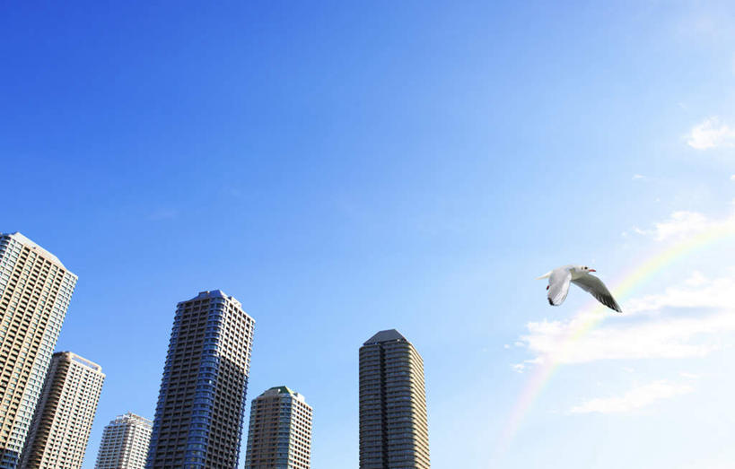 无人,高楼大厦,横图,室外,白天,仰视,度假,美景,城市风光,城市,大厦,建筑,摩天大楼,海鸟,海鸥,鸟,东京,日本,亚洲,飞翔,阴影,飞行,光线,鸟类,影子,景观,建筑群,娱乐,建设,一只,蓝色,蓝天,天空,阳光,天,享受,休闲,景色,放松,东亚,本州,关东地方,本州岛,日本国,东京都,彩图,低角度拍摄,大楼,高层建筑,高楼,摩天楼