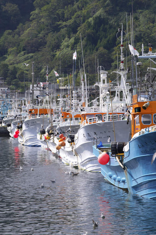 帆船,无人,码头,竖图,室外,白天,正面,旅游,度假,美景,港口,船,北海道,日本,亚洲,停靠,景观,娱乐,自然,交通工具,享受,休闲,景色,放松,停泊,自然风光,载具,东亚,日本国,北海道地方,北海道岛,彩图,摆渡口,埠头,渡口,渡头,港湾,海港,货运码头,口岸,商港