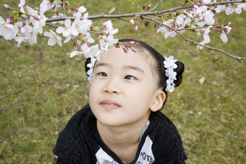 东方人,儿童,脸,头,脸颊,一个人,站,横图,俯视,室外,特写,白天,纯洁,植物,樱花,亚洲,仅一个女性,仅一个人,盛开,花蕾,注视,黄种人,花,花瓣,花朵,鲜花,树,树木,小孩,粉色,绿色,自然,花苞,花蕊,看,站着,仅一个小孩,可爱,童年,童趣,生长,成长,关注,童真,烂漫,无邪,仙樱花,福岛樱,青肤樱,天真,女孩,女人,女性,亚洲人,孩子,头部,脸部,脸蛋,面部,荆桃,抬头,仰头,站立,半身,彩图,高角度拍摄,女生
